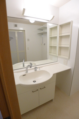 Washroom. Bathroom Vanity