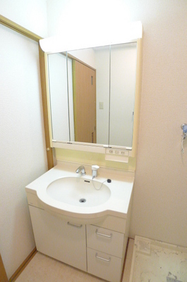 Washroom. Bathroom vanity