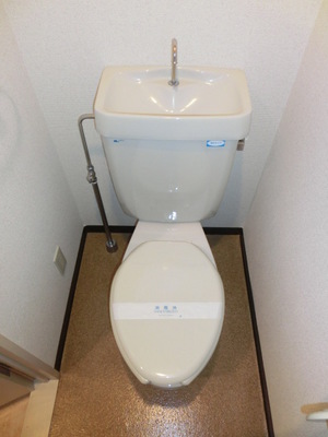 Toilet. Clean toilet