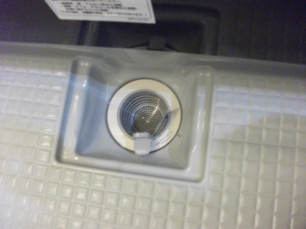 Other. It's disgusting I clean the hair that remains in the drain outlet. But care if this, Cleaning Easy.