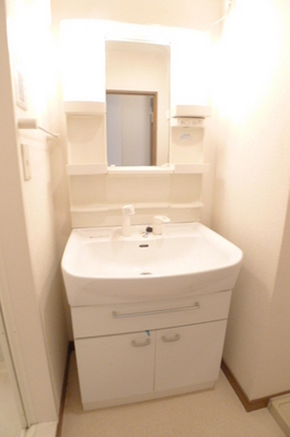 Washroom. Shampoo wash basin