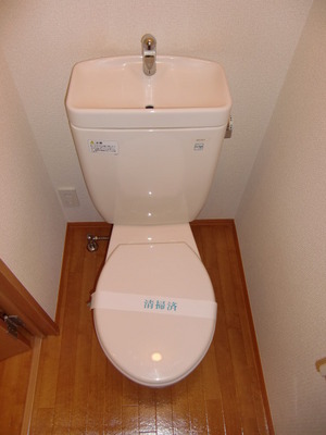 Toilet