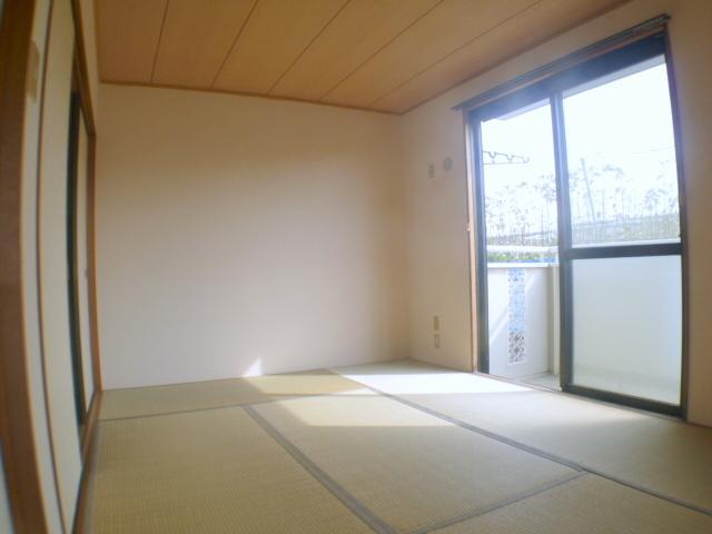 Living and room. You can purr with tatami