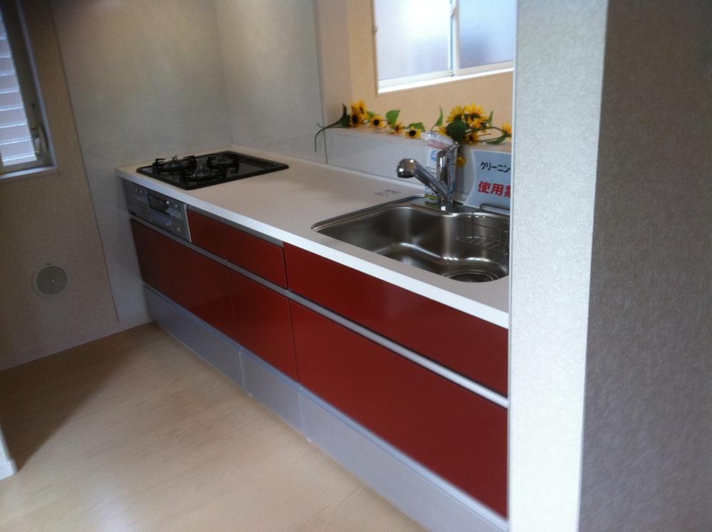 Kitchen. Indoor (10 May 2013) Shooting