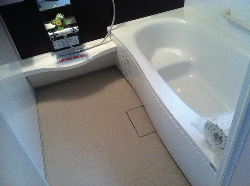 Bathroom. Indoor (10 May 2013) Shooting