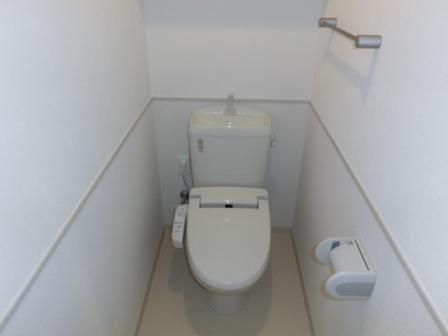 Toilet. It is the toilet of shiny. 