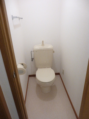 Toilet. It is a photograph of another room of the same type