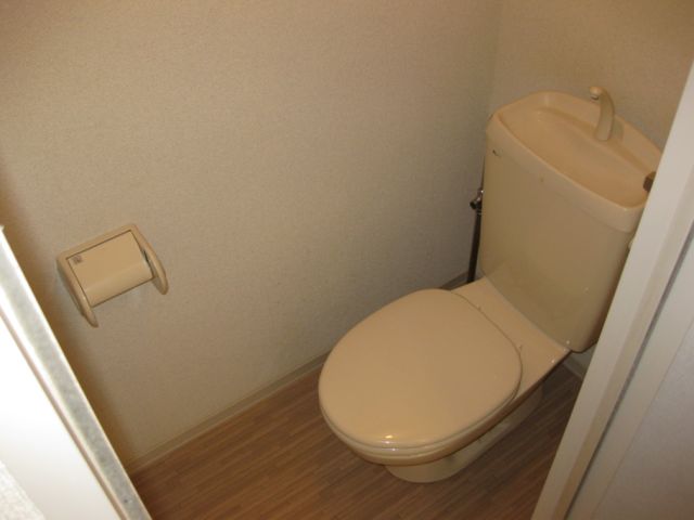 Toilet. Western-style toilet