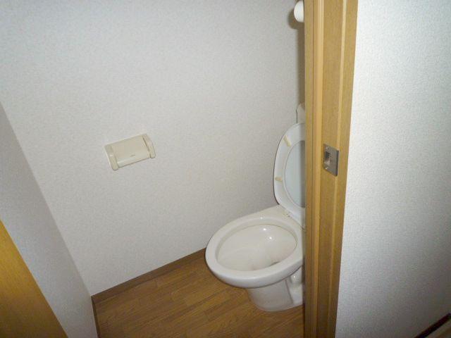 Toilet. It is a toilet with a clean.