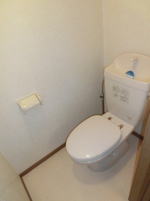 Toilet. Western-style toilet