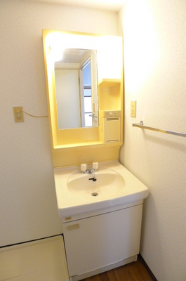 Washroom. Bathroom vanity