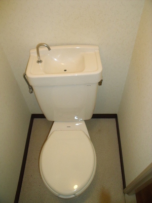 Toilet. Western Standard type