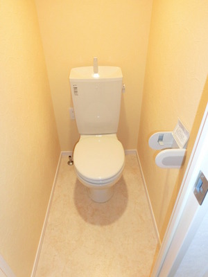 Toilet. It is a Western-style toilet