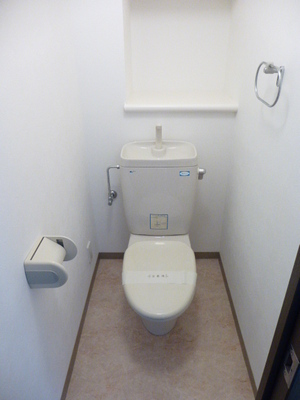 Toilet. There is a shelf in the back