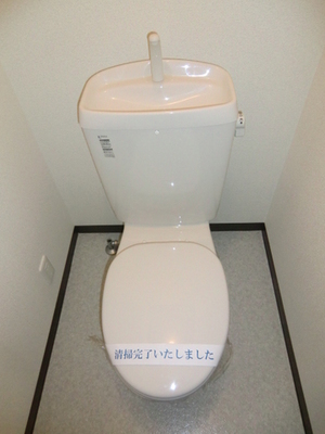 Toilet. It is a western style of your toilet