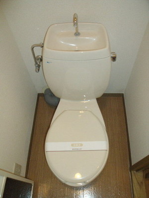 Toilet. Toilet