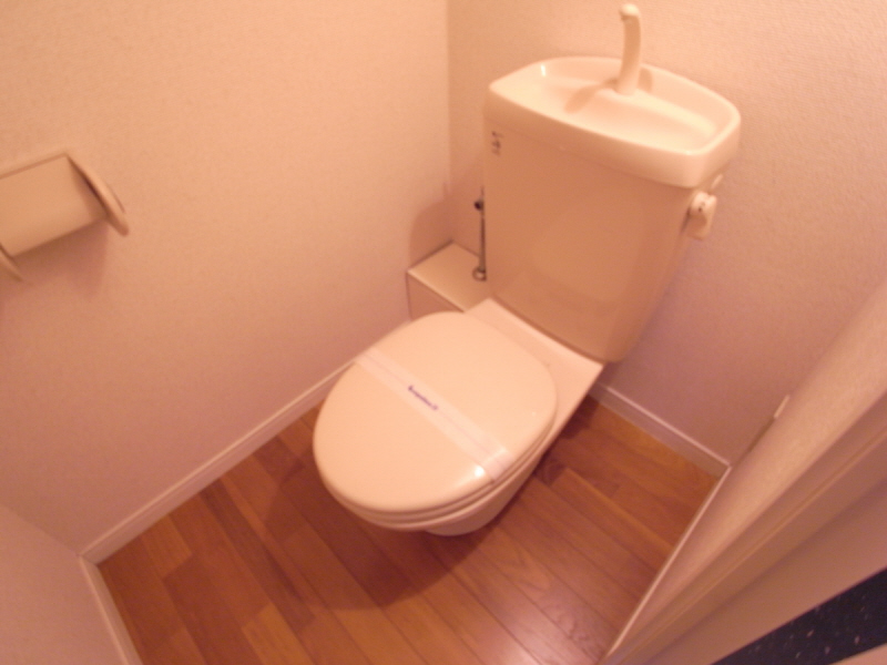 Toilet. Toilet to settle the flooring tone!