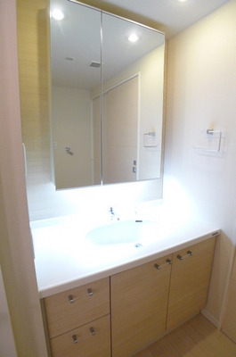 Washroom. Bathroom vanity