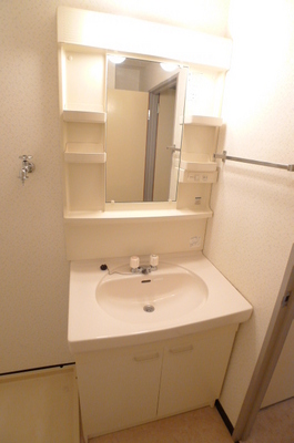 Washroom. Bathroom vanity