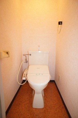 Toilet. Toilet with a bidet.