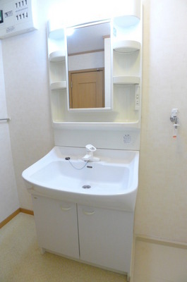 Washroom. Bathroom vanity