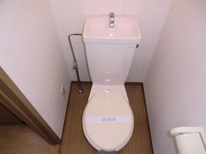 Toilet. Toilets are common type