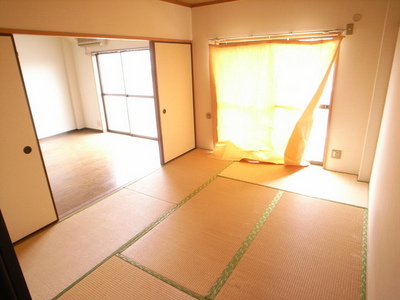 Living and room. So sunny, I burnt the tatami.