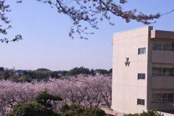 high school ・ College. 1190m to Chiba Prefectural Funabashi Shibayama High School