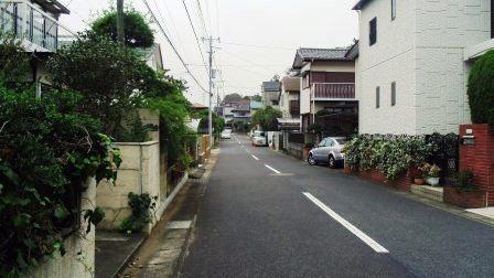 Local photos, including front road. Local (10 May 2013) Shooting