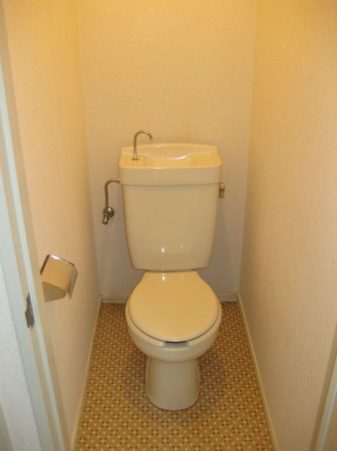 Toilet. Western-style toilet.