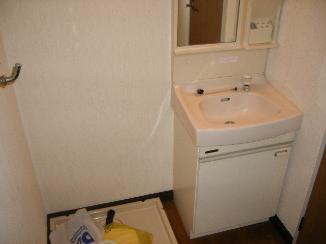 Washroom. Independent sink and washing machine inside the yard.