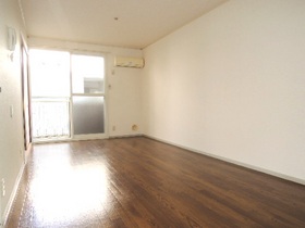 Living and room. Spacious LDK