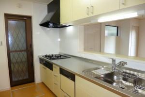 Same specifications photos (Other introspection)