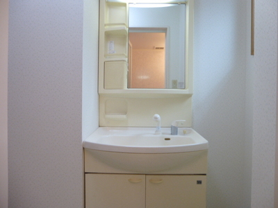 Washroom. Shampoo dresser