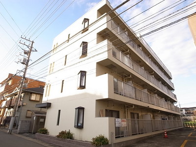 Building appearance. Imposing of rental apartments. 