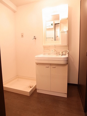 Washroom. Vanity is easy to use in the shower type!