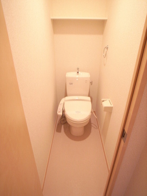 Toilet. Toilet with a bidet ☆