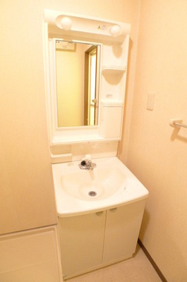 Washroom. Bathroom vanity