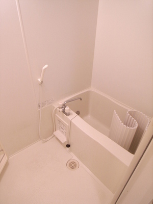 Bath. Convenient bathroom dryer with!