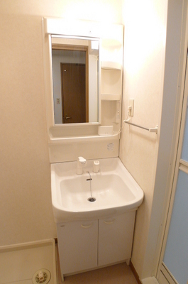 Washroom. Bathroom vanity