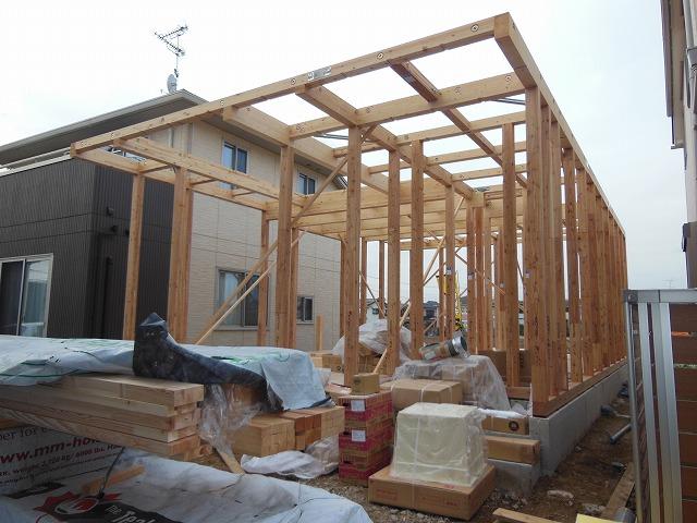 Local appearance photo. Local (12 May 2013) Shooting