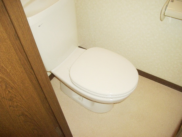 Toilet. Western-style toilet