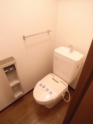 Toilet. Toilet is also beautiful to cleaning being completed!