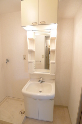 Washroom. Bathroom vanity