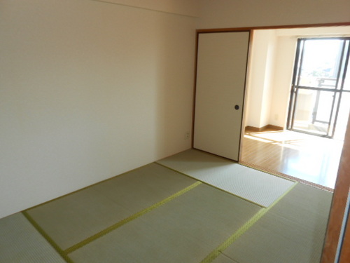 Other room space. Japanese style room