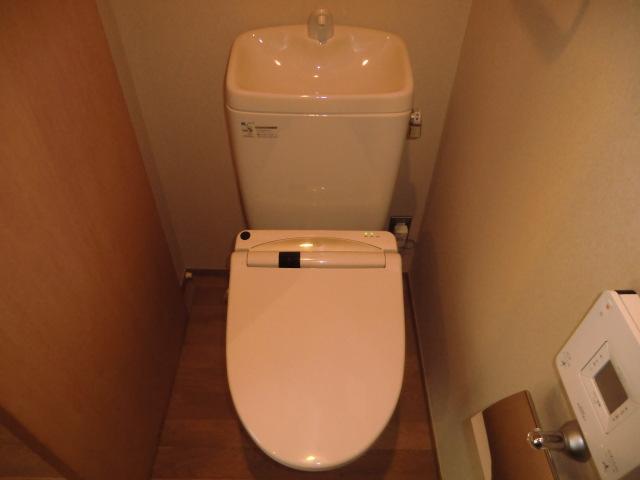 Toilet. It toilet is also happy beautiful and stylish feel