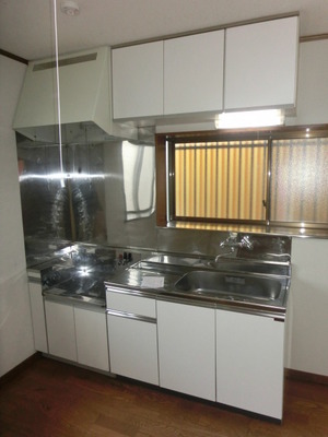 Kitchen. Gas stove installation type