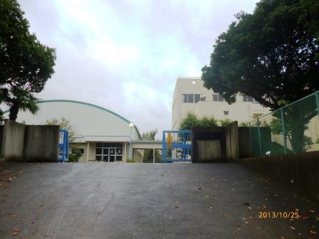 Other. Primary school