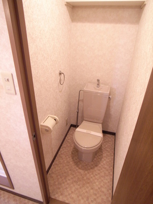 Toilet. It is a Western-style toilet with cleanliness!