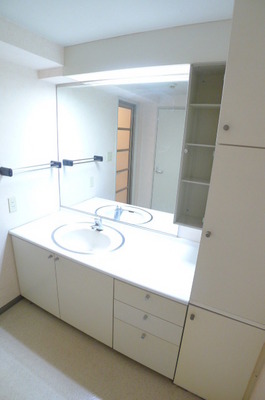 Washroom. Bathroom vanity